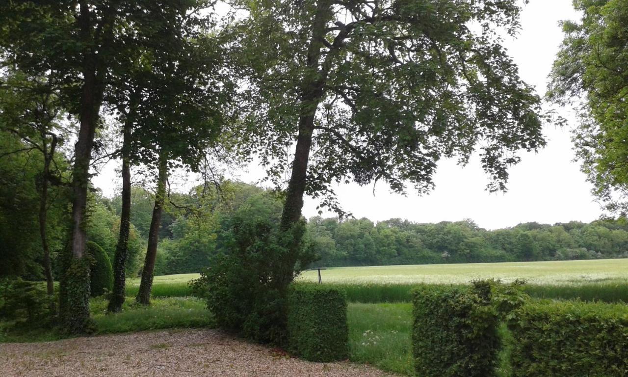 Le Château de BRESSEY&son Orangerie Bressey-sur-Tille Exterior foto